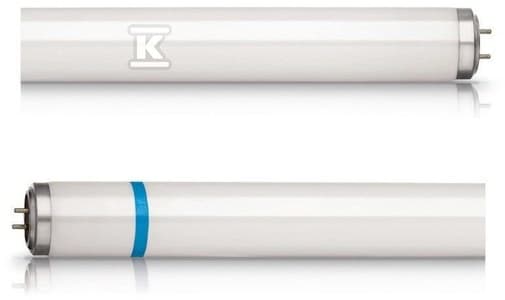 LF80 36W/840 COOL WHITE G13